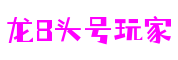 福建省厦门市龙八头号玩家游戏制作有限公司